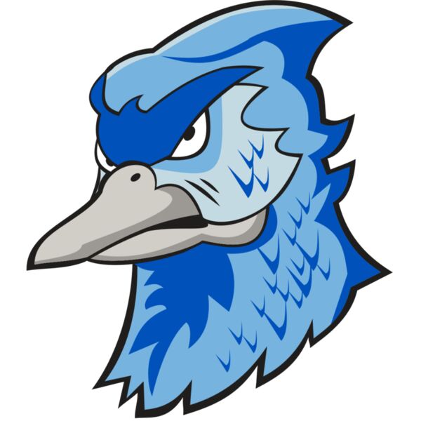 BLUEJAY HD0501 RQC Thumbnail